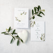 Load image into Gallery viewer, Growing Olive