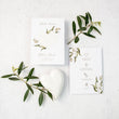 Load image into Gallery viewer, Growing Olive