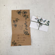 Load image into Gallery viewer, Eucalyptus New - Design No 191