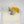 Load image into Gallery viewer, Growing Remembrance
