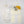Load image into Gallery viewer, Growing Remembrance
