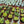 Load image into Gallery viewer, Dizajn No153
