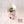 Load image into Gallery viewer, Zahvalnice Za Vjenčanje - Pokloni Za Goste - Konfeti - Konfete - Zahvalnice Sukulenti Dizajn No70 @HIAWeddings
