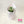 Load image into Gallery viewer, Dizajn No176
